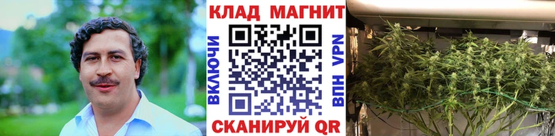 Все наркотики Сольвычегодск Кетамин Гашиш OMG маркетплейс Alpha-PVP Кокаин